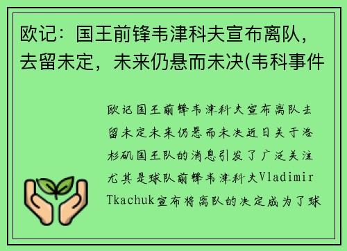 欧记：国王前锋韦津科夫宣布离队，去留未定，未来仍悬而未决(韦科事件)